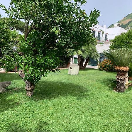 Garden Apartments Ischia Bilocale Super Centrale Forio  Bagian luar foto