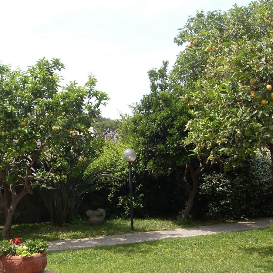 Garden Apartments Ischia Bilocale Super Centrale Forio  Bagian luar foto