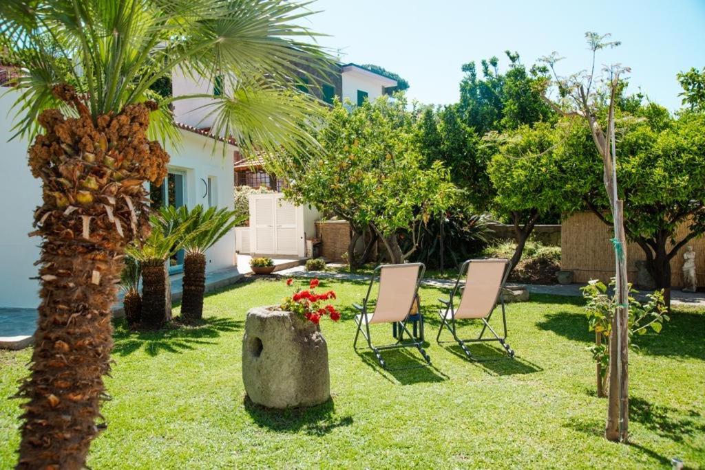 Garden Apartments Ischia Bilocale Super Centrale Forio  Bagian luar foto